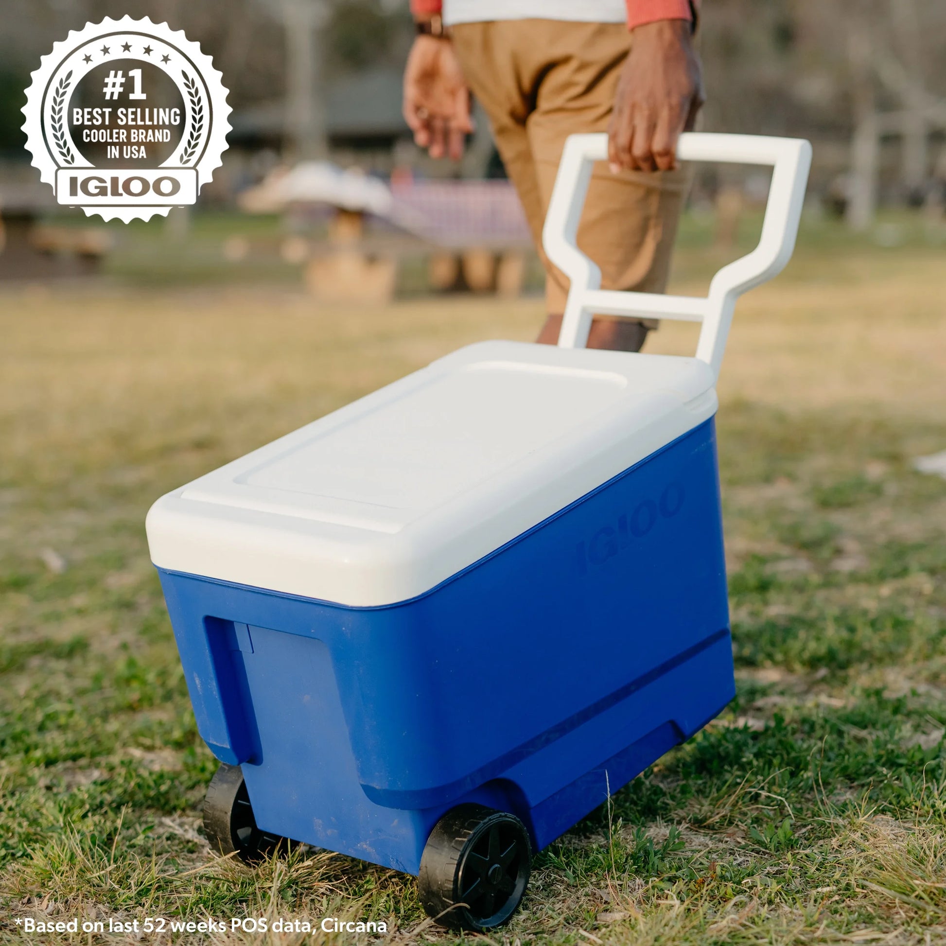 Wheelie Cool 38 QT Hard Sided Cooler with Wheels, Blue