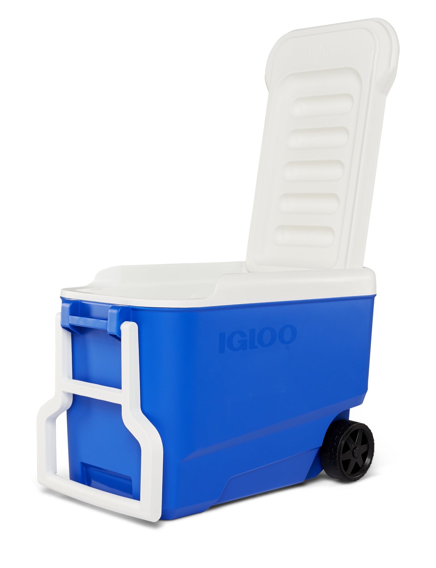 Wheelie Cool 38 QT Hard Sided Cooler with Wheels, Blue