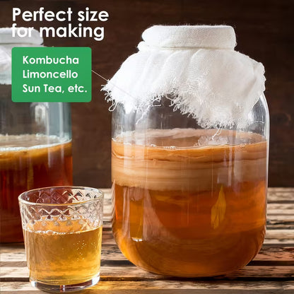 2-Pack 1 Gallon Glass Jars with Airtight Hinged Lids