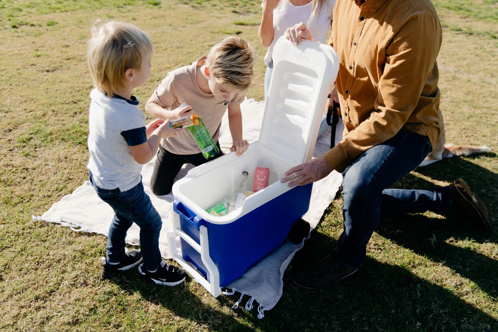 Wheelie Cool 38 QT Hard Sided Cooler with Wheels, Blue