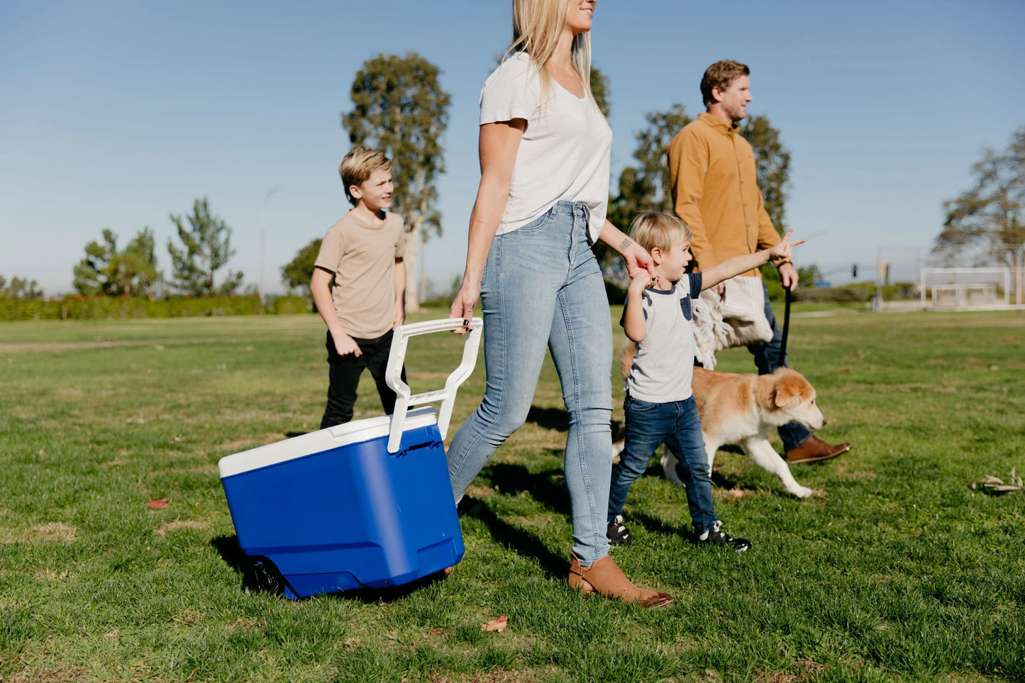 Wheelie Cool 38 QT Hard Sided Cooler with Wheels, Blue