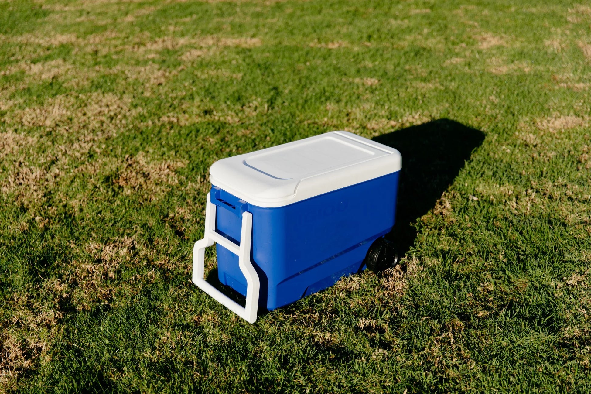 Wheelie Cool 38 QT Hard Sided Cooler with Wheels, Blue
