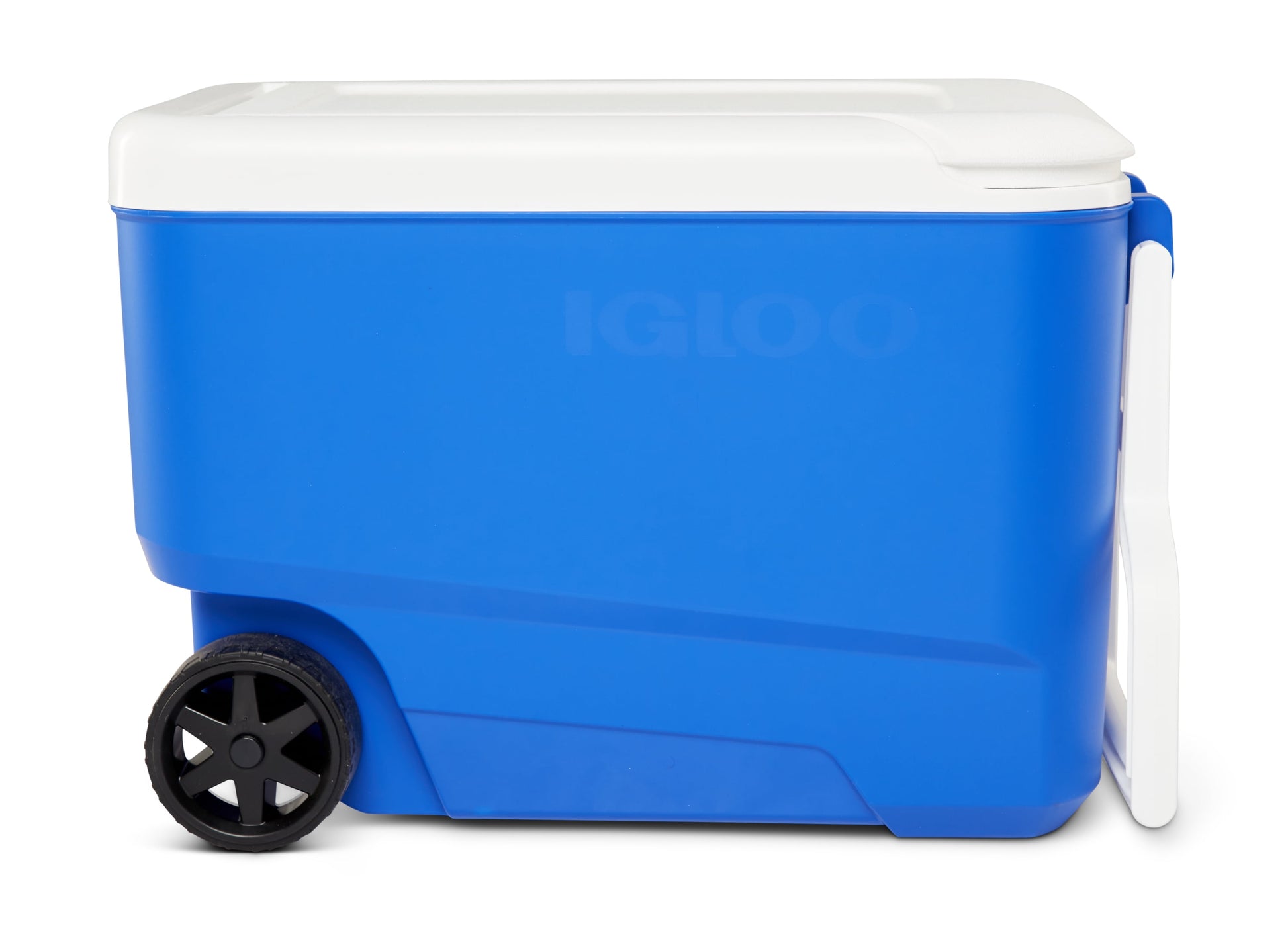 Wheelie Cool 38 QT Hard Sided Cooler with Wheels, Blue